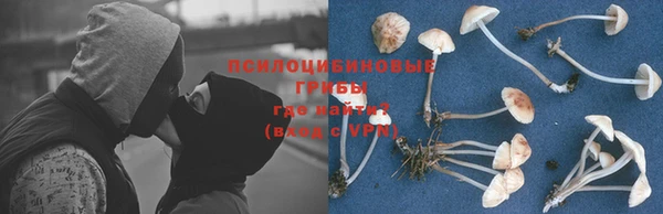 таблы Щигры
