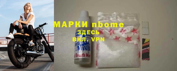 крисы Ельня