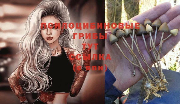spice Заводоуковск