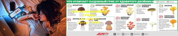 jwh Елабуга