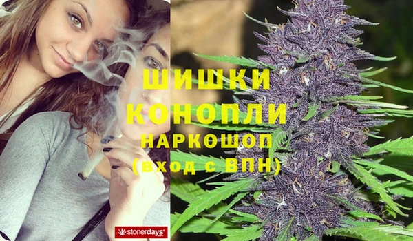 крисы Ельня