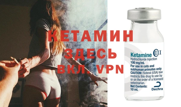 крисы Ельня