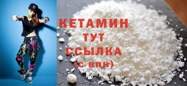 крисы Ельня