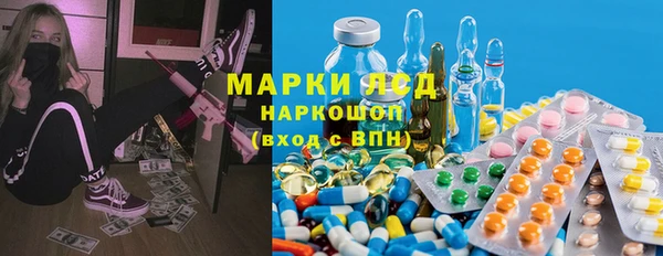 крисы Ельня